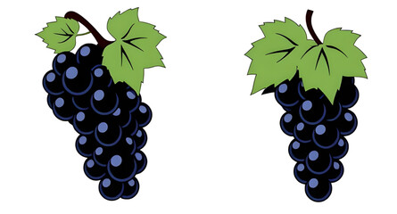 grapes cartoon, grapes with leaves cartoon, grapes art, bunch of grapes drawing, grape cluster cartoon, grapes flat design, grapes emoji style, grapes character, grapes with face, animated grapes, gra © mrpixel
