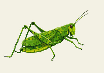 Fototapeta premium Green Grasshopper Puzzle Illustration with Detailed Legs and Antennae.