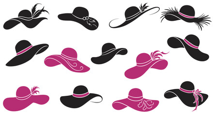 Collection of twelve elegant women's hats in black and pink colors.