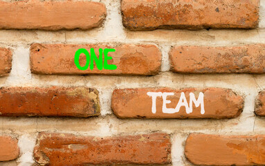 One team symbol. Concept word One team on beautiful old brown brick wall. Beautiful old brown brick wall background. Old brick wall. Business one team concept. Copy space.