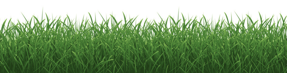 Grass Border And Isolated White Background