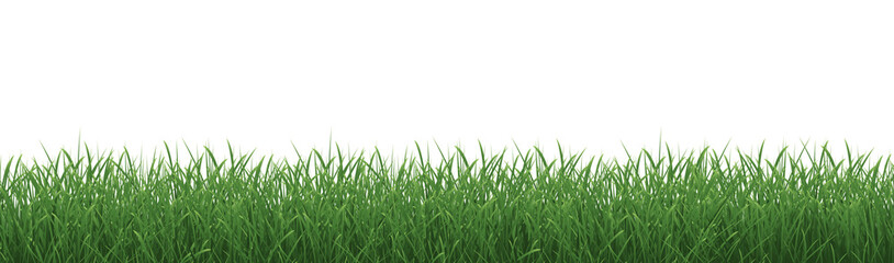 Grass Border With Isolated White Background