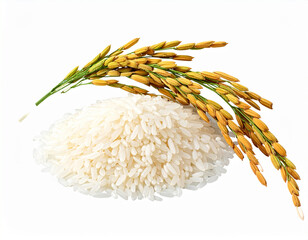 Organic paddy rice, ear of paddy, ears of Vietnam jasmine rice. PNG transparency