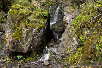 Altai Mountain Waterfall flows over large rocks surrounded by lush vegetation. The picture captures the beauty of nature in a serene setting.