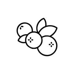 rabbit and carrot vector