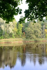 lake in the forest