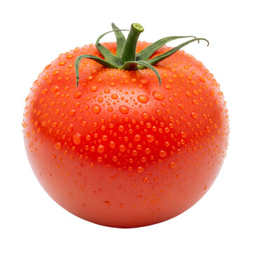 Freshly picked ripe tomato glistening with water droplets, perfect for healthy recipes, vibrant food photography, and organic farm promotions,png isolated on transparent background