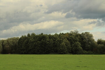 Landscape scenery wallpaper with green grass trees and dramatic cloudy sky 