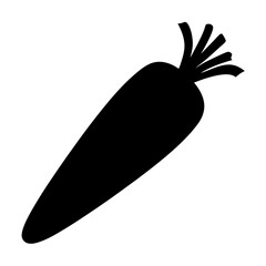 Isolated black carrot vector illustration for healthy eating and vegetarian diet concept design