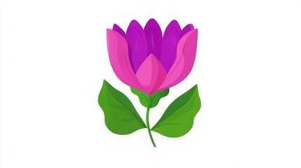 Beautiful pink lotus and tulip flowers, isolated on a white background, show the beauty of nature's spring bloom