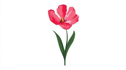 A vibrant illustration of a red tulip flower with green stem and leaves, isolated on white.