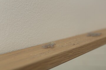 Clumps of dust on wooden surface near light wall, closeup