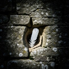 Feather in stone wall niche, a serene and delicate contrast of nature and stone art