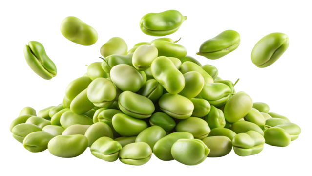 A generous pile of fresh green broad beans scattered and floating isolated on transparent background