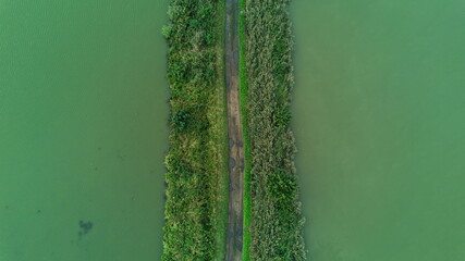 Aerial view of narrow pathway between green waters and vegetation