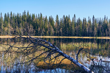 Landscape around the Svartputten Lake of the Totenåsen Hills, Norway, in September 2025.