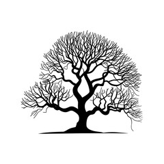 Naklejka premium Vector tree silhouettes, Olive black tree silhouette logo or icon isolated on white background in vector format simple sunset forest wilderness tree with roots and branches of life