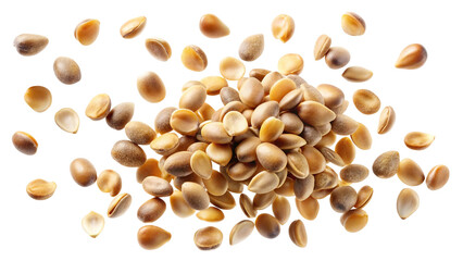 A scattered pile of small light brown oval shaped seeds isolated on transparent background