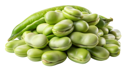Freshly harvested broad beans piled together with a single pod on top isolated on transparent background