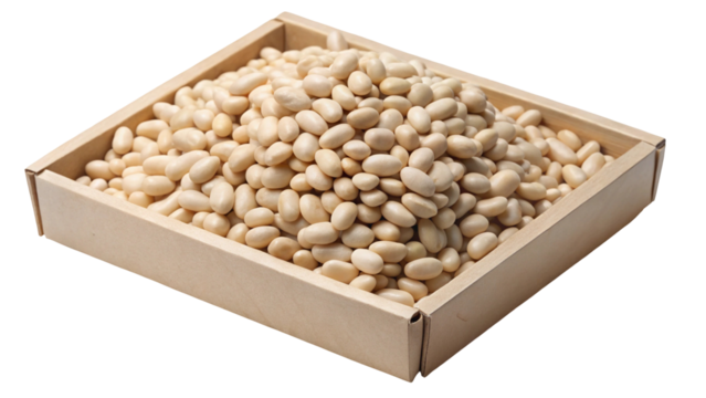 A wooden tray filled with a generous amount of small light colored pine nuts isolated on transparent background