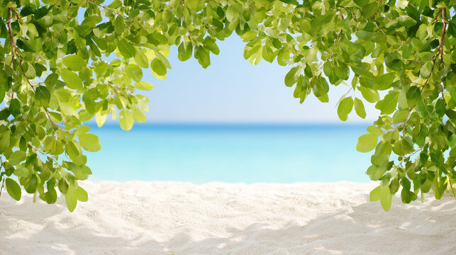 Beach Scene with Leaves, Sand, and Ocean