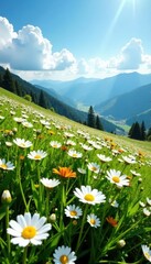 Fototapeta premium Expansive view of a hillside covered in a sea of blooming daisies , spring, floral