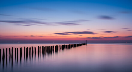 Close-up of a tiny bee diligently gathering nectar from a vibrant red daisy-like flower, showcasing nature's intricate details and the beauty of its flora and fauna in a serene garden setting