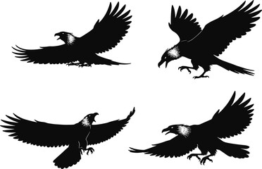 Black silhouette eagle hawk raptor flying landing aggressive pose, spread wings, sharp talons, open beak, majestic bird of prey illustration