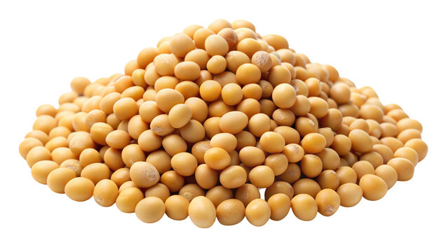 A large pile of small round yellow mustard seeds forming a natural mound isolated on transparent background