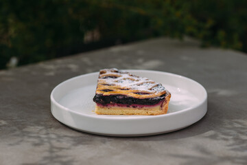 Slice of sweet blueberry cake with powdered sugar