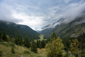 Expansive green forested valley along the Tour du Mont Blanc route in the French Alps, ideal for travel, tourism, and nature themes.
