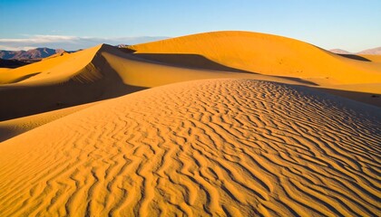 Golden Desert Dunes Landscape.