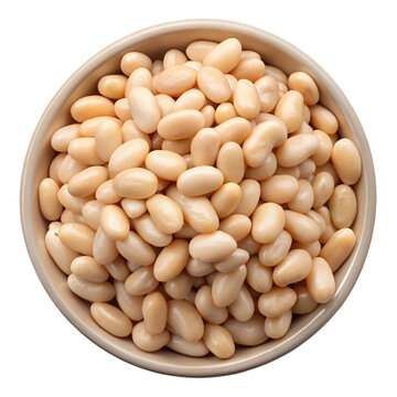A top view of a bowl filled with creamy white kidney beans isolated on transparent background