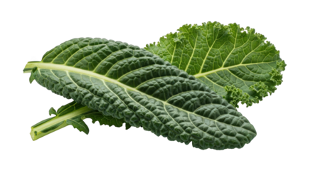 Detailed View of Two Lacinato Kale Leaves, Revealing Their Textured Surface and Deep Green Color, Set Against a Plain Background for Nutritional and Culinary Concepts