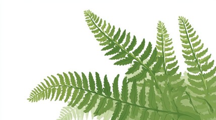 Isolated tropical fern leaves with a vibrant green foliage pattern