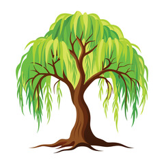 Green Willow Tree Illustration Isolated on White Background