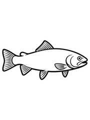 Outline illustration of a single salmon or trout fish