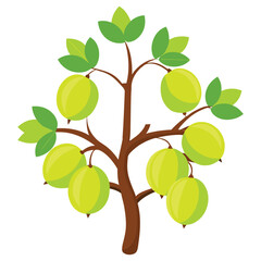 fruit Tree Vector Artwork on White Background