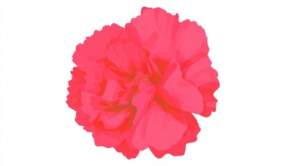A vibrant, close-up illustration of a bright red carnation flower, showcasing its intricate petals.