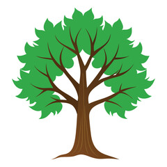 Obraz premium vector tree isolated on white background