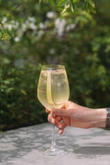 Hand holding a refreshing drink with rhubarb garnish outdoors