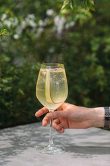 Hand holding refreshing cocktail with rhubarb garnish outdoors