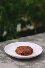 Chocolate chip cookie on white plate
