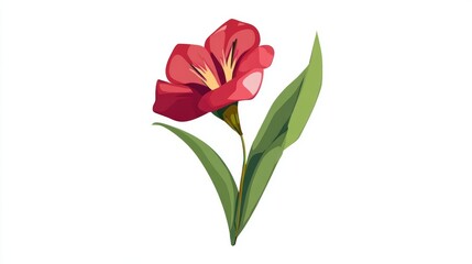 A single red flower with green leaves on a white background.