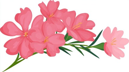 A beautiful vector illustration of a cluster of pink oleander flowers with green leaves on a white background.