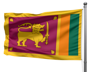 A vibrant flag featuring a lion holding a sword, representing national pride and cultural heritage in design.