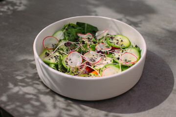 Fresh organic healthy salad with radish and zucchini