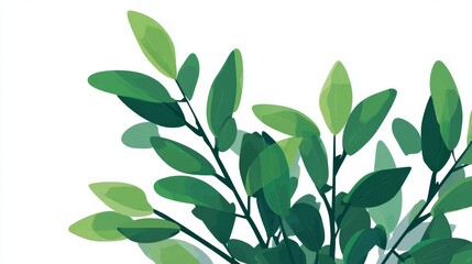 Naklejka premium Fresh green leaves isolated on a white background, perfect for a natural design