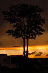 atardecer en la ciudad