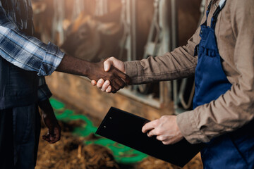 Lending investments for small business farm for buying equipment and cow. African farmer and Caucasian investor shaking hands on background cattle livestock